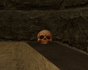 skull.jpg